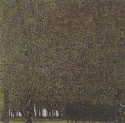The Park (mk20) Gustav Klimt